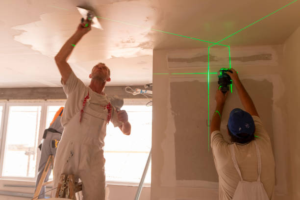 Best Fire-Damaged Drywall Repair  in Lincoln Park, MI